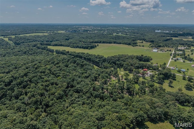 2962 County Road 496, New Bloomfield, MO 65063 - photo 30