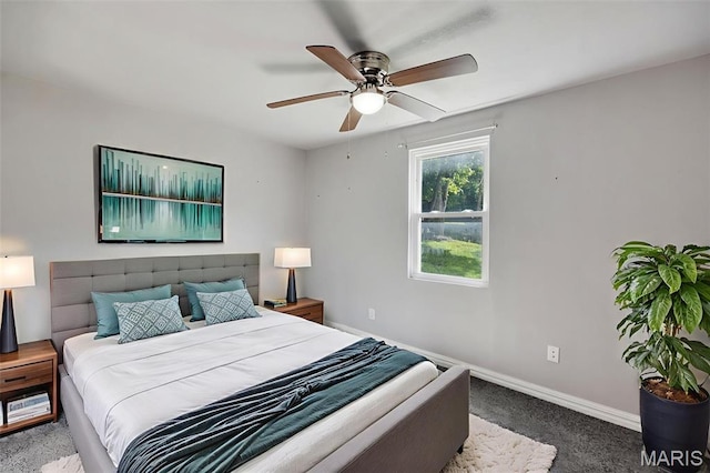 1115 Huber St, Festus, MO 63028 - photo 8