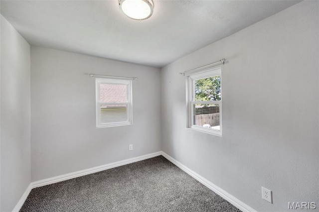 1115 Huber St, Festus, MO 63028 - photo 15