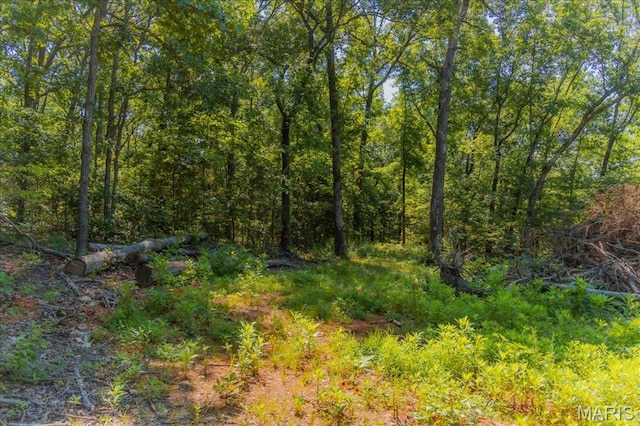 5754 Dry Branch Rd, Saint Clair, MO 63077