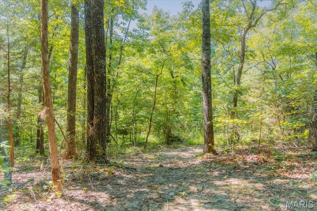 5754 Dry Branch Rd, Saint Clair, MO 63077