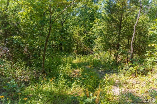 5754 Dry Branch Rd, Saint Clair, MO 63077