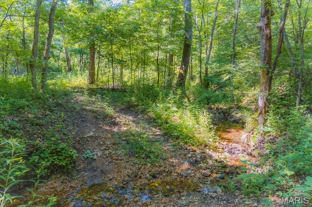 5754 Dry Branch Rd, Saint Clair, MO 63077