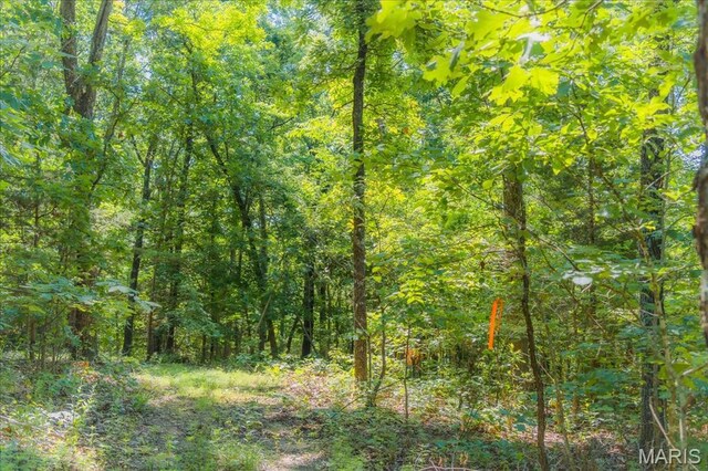 5754 Dry Branch Rd, Saint Clair, MO 63077