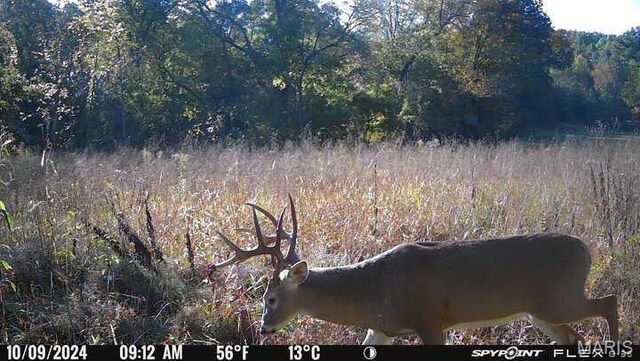 5754 Dry Branch Rd, Saint Clair, MO 63077