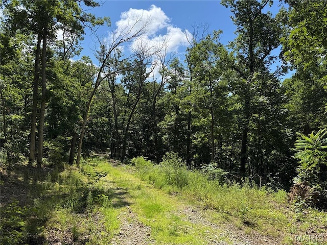 5754 Dry Branch Rd, Saint Clair, MO 63077