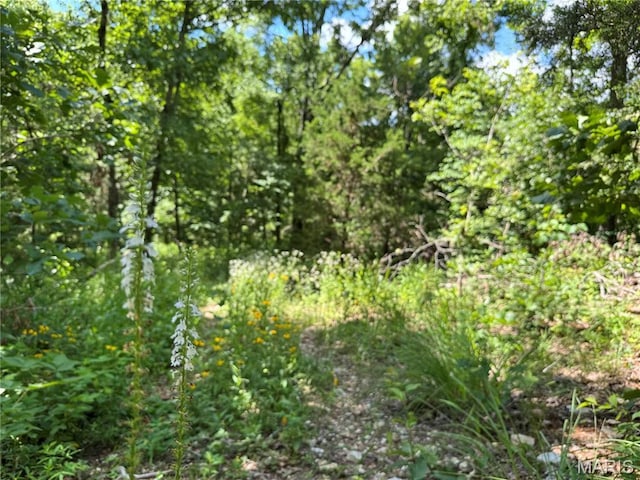 5754 Dry Branch Rd, Saint Clair, MO 63077