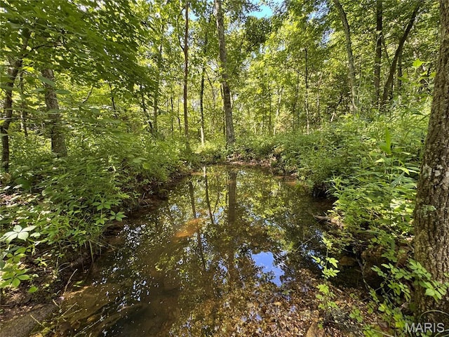 5754 Dry Branch Rd, Saint Clair, MO 63077