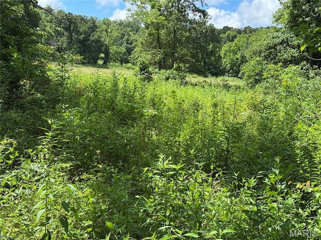 5754 Dry Branch Rd, Saint Clair, MO 63077