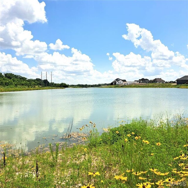 9027 Camino Trl, Cottleville, MO 63304 - photo 20