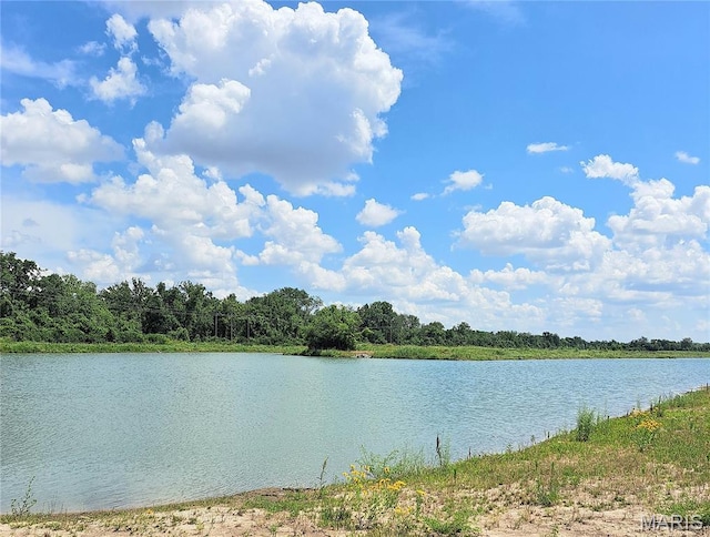 9027 Camino Trl, Cottleville, MO 63304 - photo 21