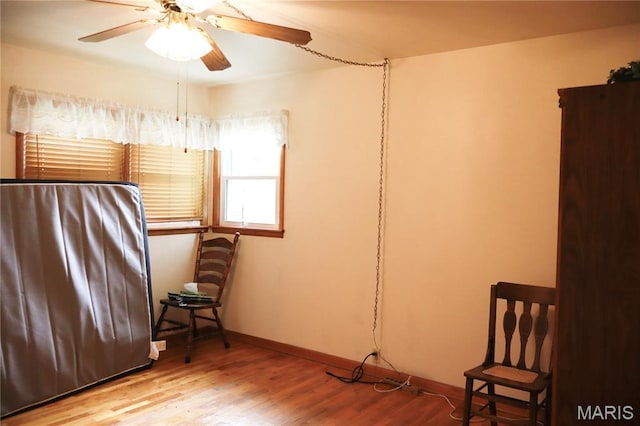 337 S Elm St, Dexter, MO 63841 - bedroom featuring wood finished floors and ceiling fan