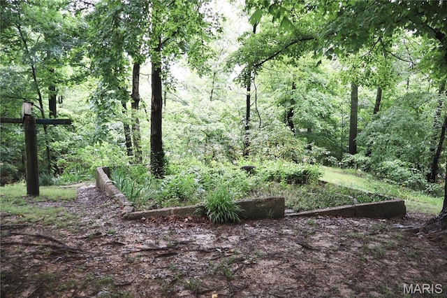 337 S Elm St, Dexter, MO 63841 - view of woods
