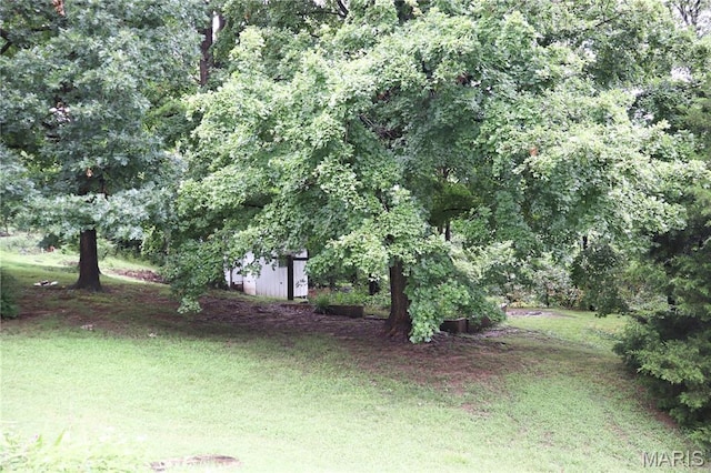 337 S Elm St, Dexter, MO 63841 - view of green lawn