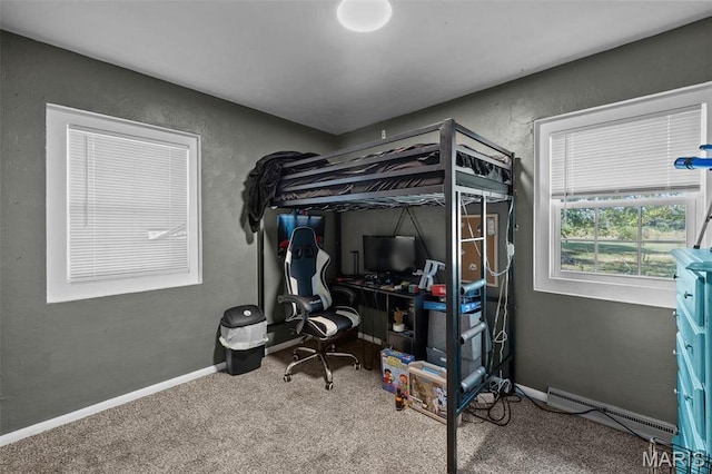 1155 E Karsch Blvd, Farmington, MO 63640 - photo 4