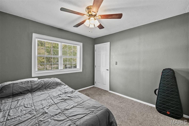 1155 E Karsch Blvd, Farmington, MO 63640 - photo 14