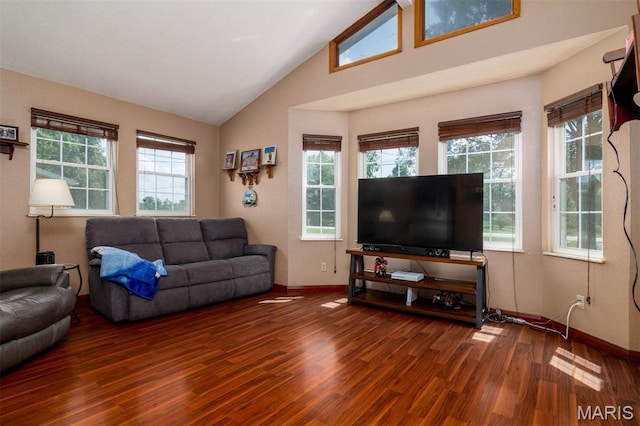 2364 Marine Rd, Highland, IL 62249 - living room with wood finished floors and vaulted ceiling