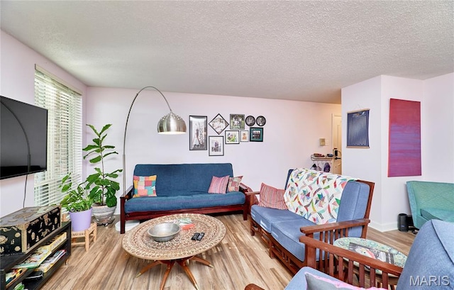 922 Claytonbrook Dr Unit 2, Ballwin, MO 63011 - living area featuring wood finished floors and a textured ceiling