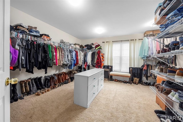 7742 Ardmore Dr, Ofallon, MO 63368 - walk in closet featuring carpet