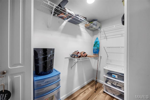 7742 Ardmore Dr, Ofallon, MO 63368 - walk in closet with wood finished floors