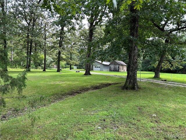 20267 Tall Timber Rd, Staunton, IL 62088 - photo 31