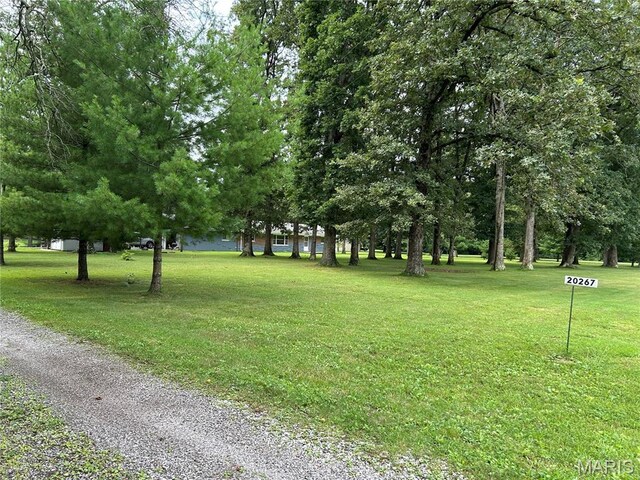 20267 Tall Timber Rd, Staunton, IL 62088 - photo 34