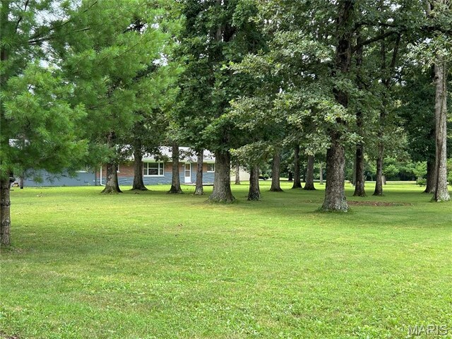 20267 Tall Timber Rd, Staunton, IL 62088 - photo 35