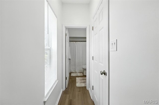 3602 Traceyrich Rd Unit 2B, Saint Louis, MO 63125