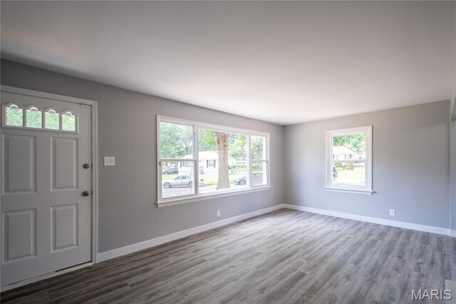 1900 Owen Dr, Hanley Hills, MO 63133 - foyer featuring plenty of natural light and wood finished floors