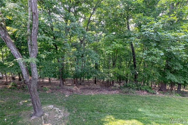 565 Vista Hills Ct, Eureka, MO 63025 - photo 36