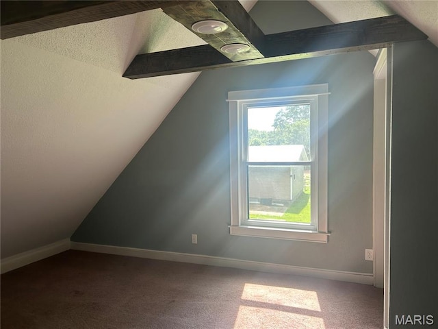 619 Don St, Poplar Bluff, MO 63901 - additional living space featuring vaulted ceiling, healthy amount of natural light, carpet floors, and a textured ceiling