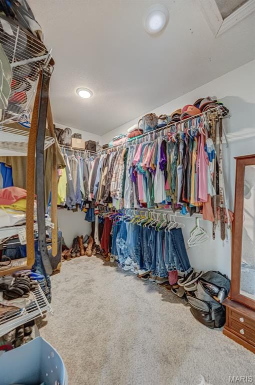 10317 Mallard Rd, Potosi, MO 63664 - walk in closet with carpet