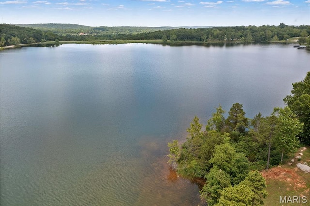 10317 Mallard Rd, Potosi, MO 63664 - water view with a forest