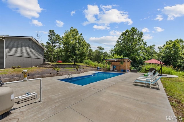 10317 Mallard Rd, Potosi, MO 63664 - swimming pool with a patio area and an outbuilding