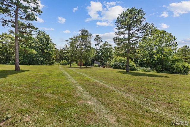 10317 Mallard Rd, Potosi, MO 63664 - view of grassy yard