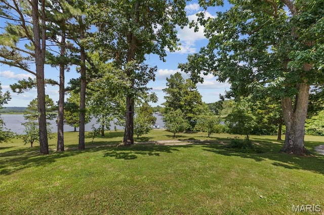 10317 Mallard Rd, Potosi, MO 63664 - view of green lawn with a water view