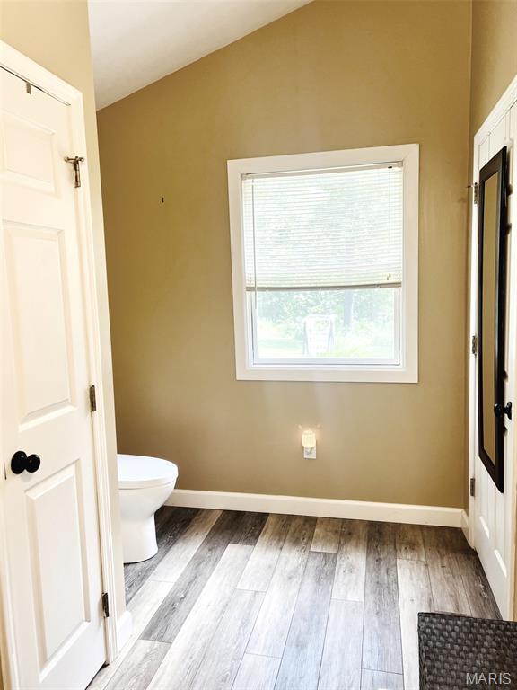 885 Oak Pass Ln, Sullivan, MO 63080 - bathroom with wood finished floors and lofted ceiling