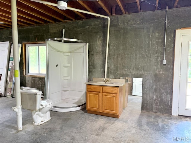 885 Oak Pass Ln, Sullivan, MO 63080 - basement featuring plenty of natural light