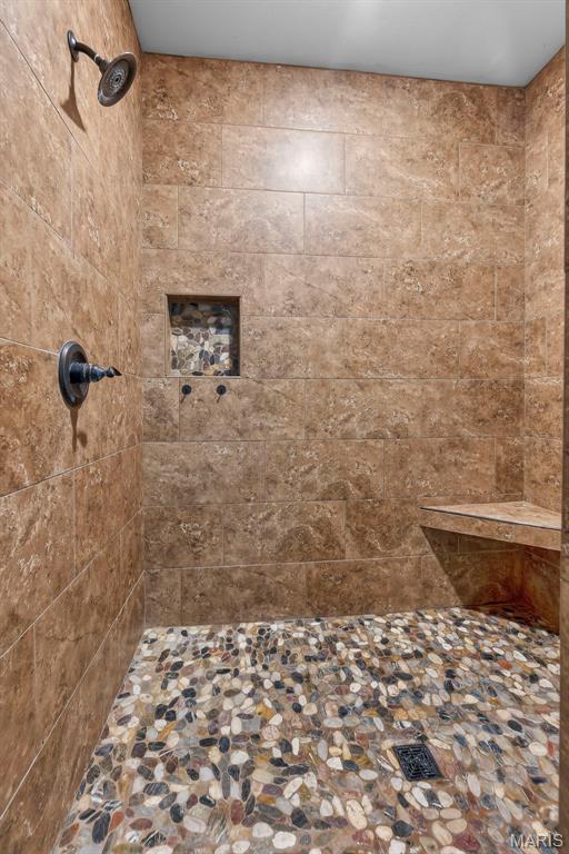 255 Sassenach Dr, Jackson, MO 63755 - full bath with a tile shower