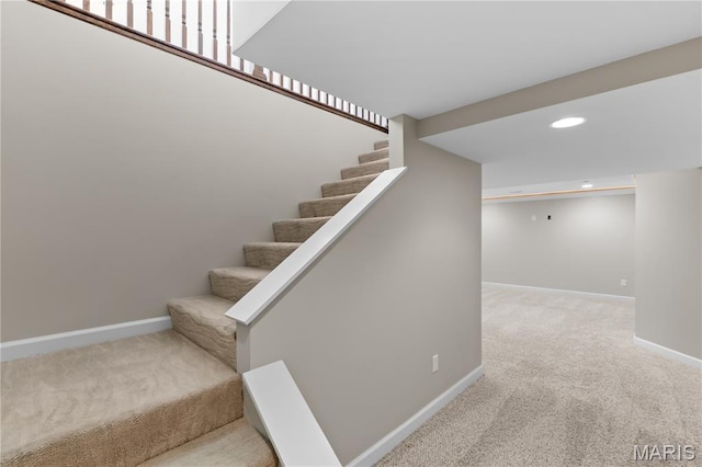 116 Central Park Ave, Wentzville, MO 63385 - photo 22