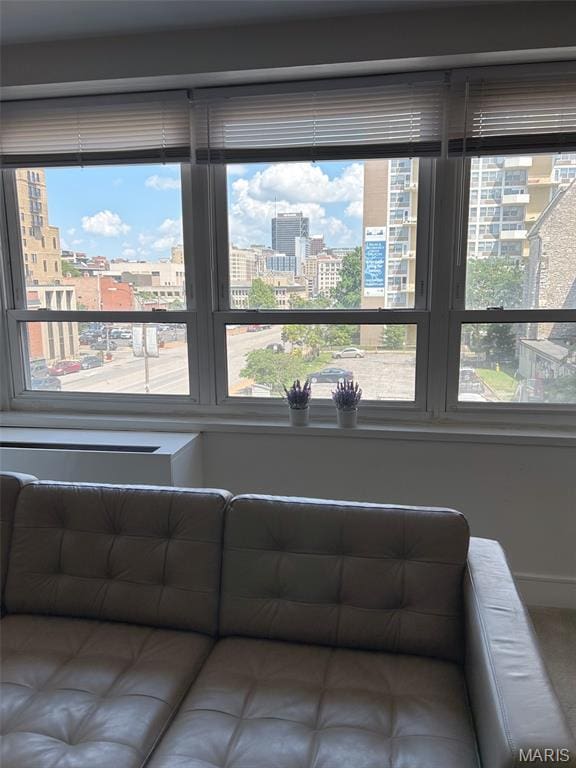 210 N 17th St Unit 302, Saint Louis, MO 63103 - detailed view of a city view