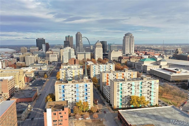 210 N 17th St Unit 302, Saint Louis, MO 63103 - view of city