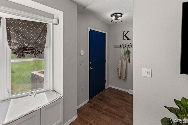 1716 Fountainbleu Dr, Worden, IL 62097 - foyer entrance with dark wood-style flooring and a textured ceiling
