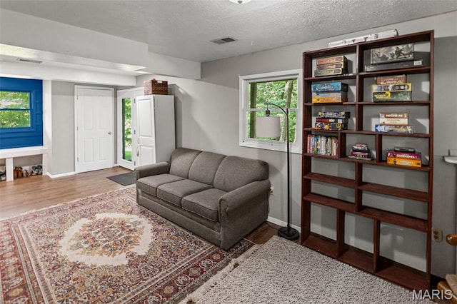 1716 Fountainbleu Dr, Worden, IL 62097 - living area featuring healthy amount of natural light, wood finished floors, and a textured ceiling