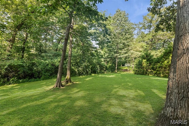 1716 Fountainbleu Dr, Worden, IL 62097 - view of green lawn