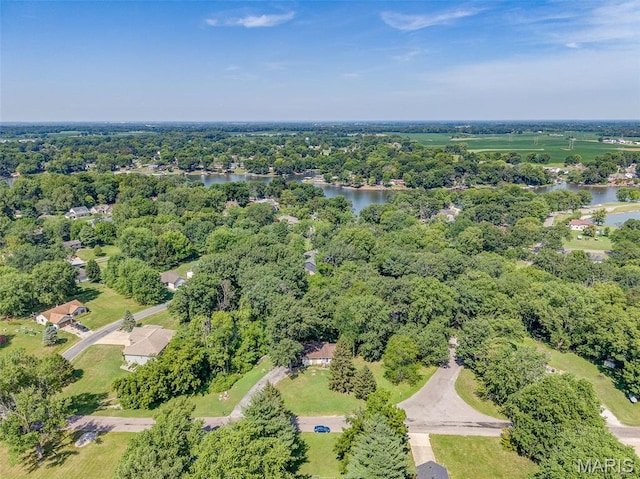 1716 Fountainbleu Dr, Worden, IL 62097 - aerial view of property's location featuring a nearby body of water