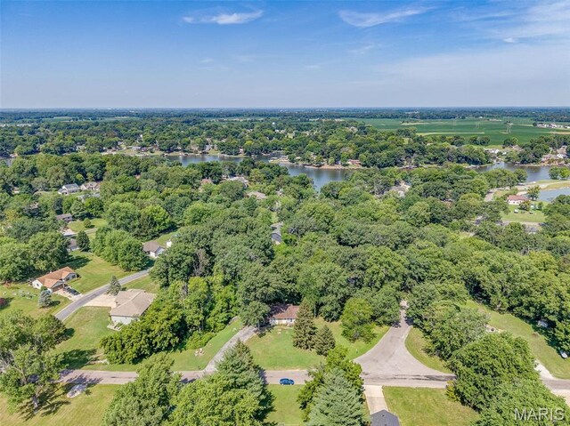 1716 Fountainbleu Dr, Worden, IL 62097 - photo 34