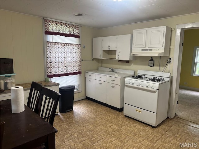 526 W Wayne St, Ironton, MO 63650 - photo 3
