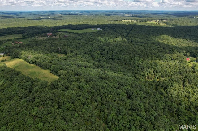 TRACT2- Clay Rd, Falcon, MO 65470