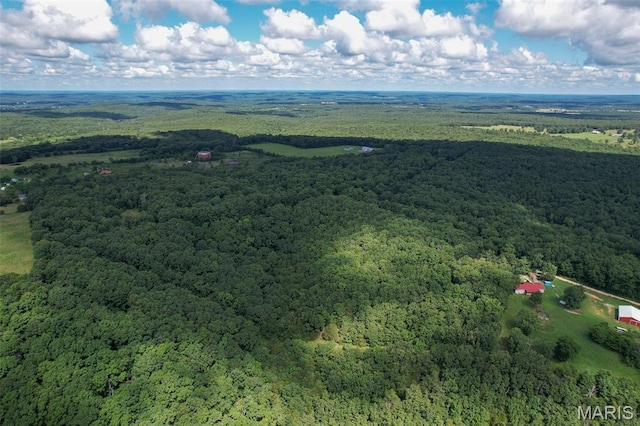 TRACT2- Clay Rd, Falcon, MO 65470